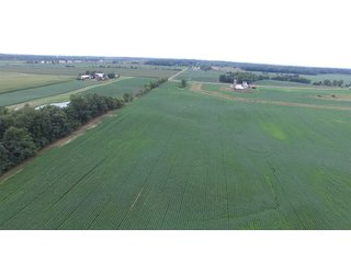 Property photo 8 - LAND AUCTION - 89.5+/- ACRES IN 3 TRACTS IN WILLIAMS COUNTY, OHIO